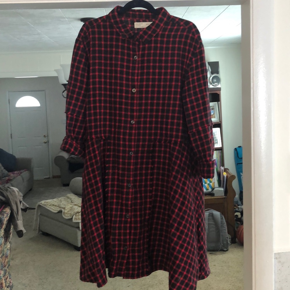 Zara Plaid Button Down Dress